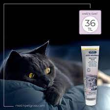 dr clauder s anti hairball kedi tuy yumagi onleyici malt macun 100 gr web e sadece 36 tl stoklarla sinirlidir https www metinpetgross com kedi cats iman