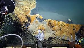 Scientists Found An Underwater Pool That Kills Nearly Anything That Swims Into It Underwater Ocean Life Nature
