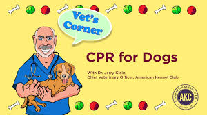 Want to learn basic life support for free? How To Give Your Dog Cpr Howstuffworks