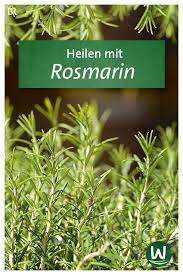 Krauter Heilen Mit Rosmarin Br De In 2020 Krauter Fur Die Gesundheit Hausmittel Fur Die Gesundheit Heilpflanzen