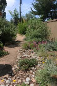 The Many Styles Of Garden And Landscape Design Landscape Design Natural Garden Desert Landscaping
