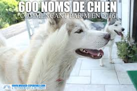 Une liste avec plus de 3500 noms de chien originaux et uniques pour nom de chien en m (pour 2016). Plus 600 De Vrais Noms De Chiens En M
