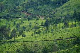 Search - 老王探花下载破解版(K782.com).cb2llb.女同下载破解版(K782.com).v0hphu