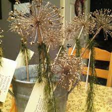 Magic Wands From The Garden Allium Flowers Dried Spray Painted Gold W Silver Glitter Card Attached W Funfur Christmas Display Allium Flowers Diy For Kids