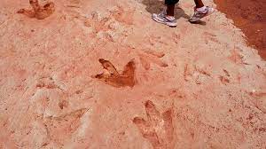 There are no glass exhibits with carefully cut, stone pieces of fossilized footprints; Tuba City Dinosaur Tracks Top Places To See In Arizona