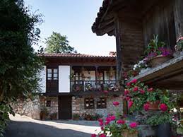 Image result for Casearia runssorica