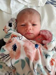 Lockie Munn (@hazzardfrontman) • Instagram photos and videos