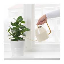 Vattenkrasse Watering Can Ivory Gold Ikea Watering Can Ikea Finds Indoor Watering Can
