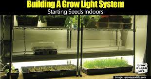 I had to find a way to make sure that my seeds would germinate and that the plants would survive to harvest. How To Build An Indoor Grow Lights System