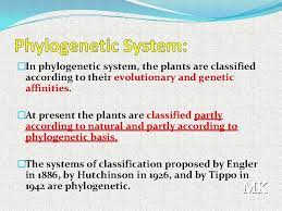 Types Of Classification Munmun Kundu Department Of Botany