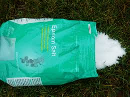 Choose one from above and place all ingredients inside a spray bottle. Epsom Salt Lawn Fertilizer What Does Epsom Salt Do For Grass