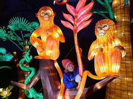 Alle preise auf einen blick. Magische Lichterwelten Im Zoo Halle Letzter Feinschliff An Den Figuren Lauft Mz De