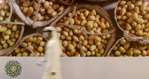 أصدر سمو الشيخ نهيان بن زايد آل نهيان رئيس مجلس أبوظبي الرياضي قراراً بإعادة تشكيل مجلس إدارة نادي الظفرة الرياضي الثقافي، برئاسة السيد عبدالله بطي سالم موسى القبيسي، وعضوية كل من السادة : Ø¹ÙŠØ³Ù‰ Ø³ÙŠÙ Ø§Ù„Ù…Ø²Ø±ÙˆØ¹ÙŠ Ø¨ÙŠØ¦Ø© Ø£Ø¨ÙˆØ¸Ø¨ÙŠ