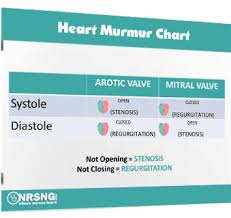 Free Nursing Cheat Sheet Downloads Cardiac Nursing