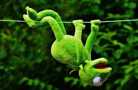 Find kermit pictures and kermit photos on desktop nexus. Hd Wallpaper Green Kermit The Frog Hanging On String Hang Out Soft Toy Toys Wallpaper Flare