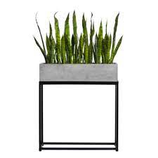 Snake Plant In Rectangle Plant Stand Design House Jay scotts fiberglass tapered square and rectangle planter collection.