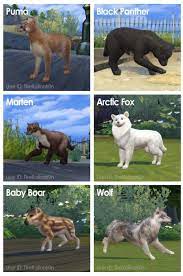 Pets. here are some helpful tips to get them to breed faster. Sims 4 Cc Pets Ish Sims 4 Pets Sims 4 Sims