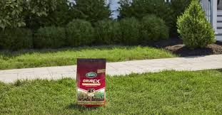 They're often called white grubs, because the some are designed for prevention, others for treating existing grubs. How To Get Rid Of Grubs Easy Control Prevention Guide