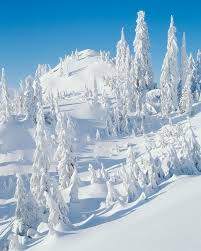 фотографии снега и льда в природе на улицах города Zahvatyvayushie Zimnie Fotografii So Vsego Sveta Kartinki Snega Zimnie Sceny Zimnie Kartinki