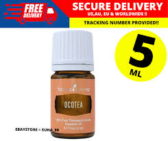 Image result for Ocotea