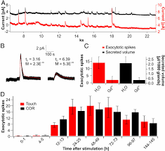 Insect Haptoelectrical Stimulation Of Venus Flytrap Triggers