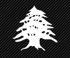 Epingle Par Wassim Daoud Sur Tatouages Drapeau Du Liban Liban Cedre Du Liban