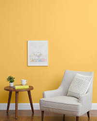 Paint for your home inside and out. Golden Hour Yellow Paint Clare