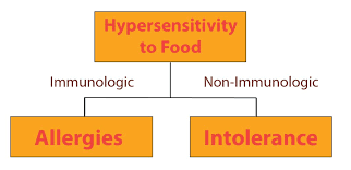 Food Allergy Vs Food Intolerance Whats The Difference