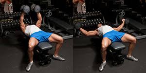 Image result for dumbbell flyes