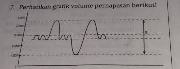 Volume udara pernapasan manusia meliputi: Volume Udara Pernapasan Yang Ditunjukkan Olehhuruf X Adalah A Jumlah Volume Udara Suplementer Brainly Co Id