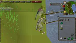 Moreover, pets like cats and dogs use their noses to explore cover the fish tank or bird cage with a towel or sheet to prevent the spray vapors or airborne particles from creeping inside. Barbarian Fishing 114 116k H By Mikael
