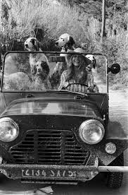 But i love freely and i leave freely. — brigitte bardot. French Actress Brigitte Bardot With Her Dogs Driving A Mini Moke In France 1980 08 2019
