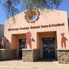 Get ready to pay a little more to add a furry friend to your home. Maricopa County Animal Shelter Wants You To Adopt Kjzz