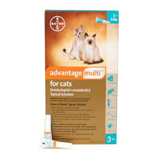 Advantage Multi Topical Solution For Cats 2 To 5 Lbs 3 Pack Petco