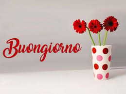Vedremo foto bellissime di bouquet di fiori, tulipani, margherite e girasoli, siete pronti ?. Buongiorno Con I Fiori Piu Di 60 Immagini E Un Video Da Dedicare Passione Mamma
