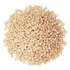 Image result for Sorghum