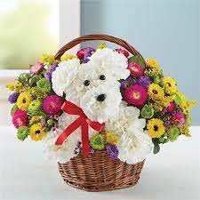 Maybe you would like to learn more about one of these? Fresh Flower Arrangements Local Florist In Worcester Ma Worcester Flower Shop