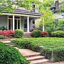 These gorgeous ground cover ideas will inspire you. Ground Cover Plants Everything You Need To Know This Old House