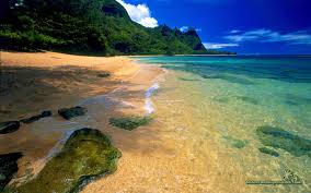 Please contact us if you want to publish a beach pc wallpaper on our site. Cool Beach Wallpaper Wallpaper Nature And Landscape Wallpaper Better