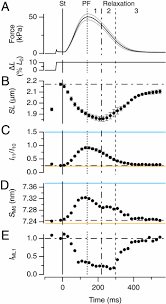 Pixel experience for mi 3 and mi4 cancro /* * your warranty is now void. Myosin Filament Based Regulation Of The Dynamics Of Contraction In Heart Muscle Pnas
