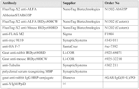 The results showed that the igg ascs were scattered in the lamina propria (lp). Wo2020053239a1 Epitope Tags Recognized By Specific Binders Google Patents