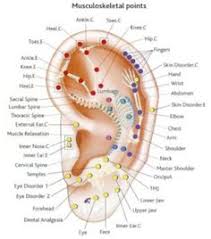 13 Best Auriculotherapy Images Acupressure Ear