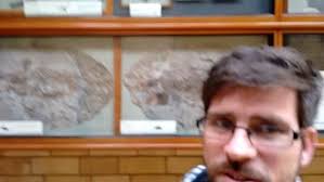 Plesiosaurus Microcephalus found by Mary Anning