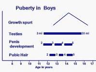 Understanding Growth Spurt In Infants And Teenagers