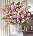 We did not find results for: Coleman Brothers Flowers Inc Sympathy Richmond Va 23228 Ftd Florist Flower And Gift Delivery