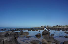 Point Gellibrand Williamstown Coastal Heritage Park Tot Hot Or Not Rock Pools Williamstown Water Play