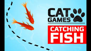 Cat Games Catching Fish Entertainment Videos For Cats To Watch Youtube In 2020 Kitty Games Catching Fish Cat Gif