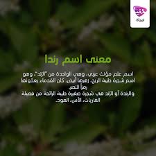 تعرفي على معنى اسم رندا ارسلي لنا الاسماء التي تودين معرفة معانيها وسوف ننشرها تباعا معاني دنيا امرأة أسماء بنات دنيا امرأة كو names advice your name