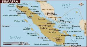 Kesultanan siak sri indrapura memiliki sejarah yang panjang dalam kancah kerajaan kerajaan di nusantara. Johor Justru Dibangun Orang Bugis Okezone Nasional