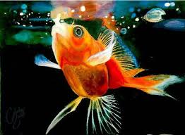 We did not find results for: Acrylic Gold Fish Art Amino
